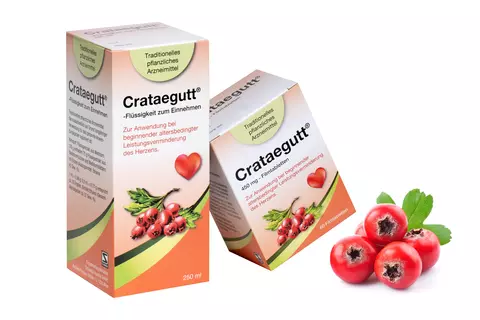 Crataegutt Top Thema