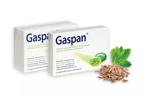 Gaspan Top Thema