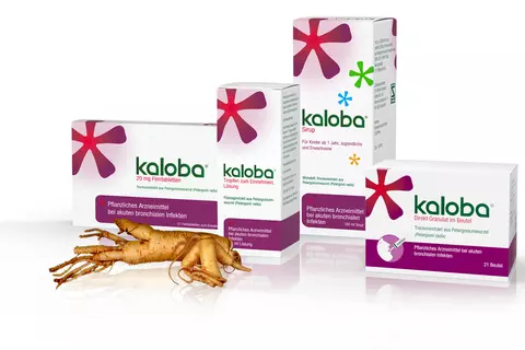 Kaloba Top Thema