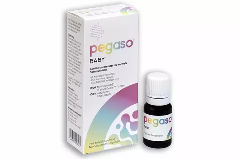 pegaso Baby Top Thema