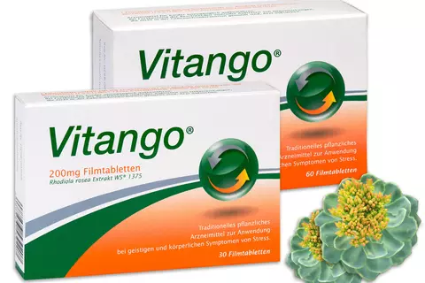 Vitango Top Thema