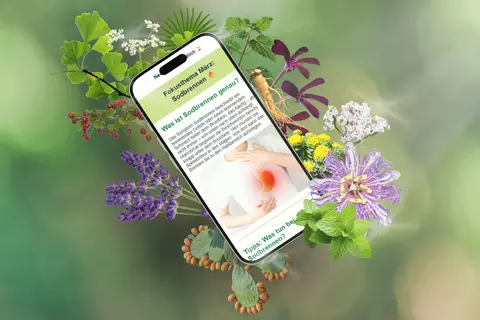 Newsletter Pflanzlich Anmeldung - © Canva