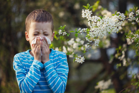Allergie einfach erklärt – © zaikina/stock.adobe.com