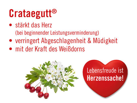 Crataegutt Wirkung - © Canva