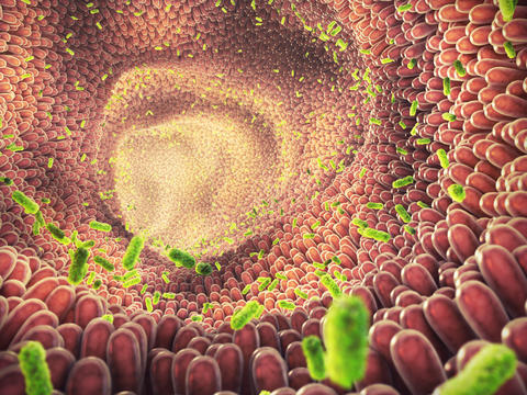 Darmflora und ihre Aufgaben für einen gesunden Darm – © nobeastsofierce/stock.adobe.com