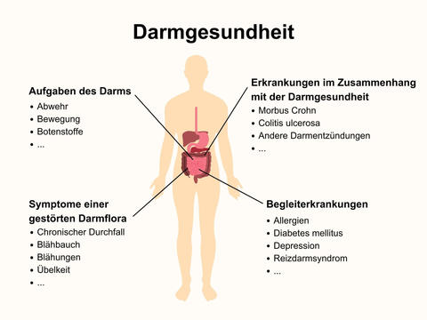 Darmgesundheit: Aufgaben, Symptome, Erkrankungen & Co – © Canva