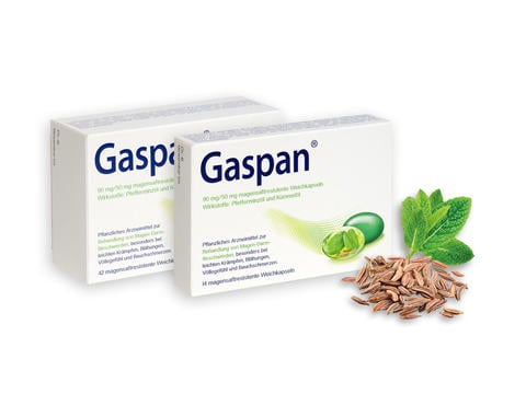Gaspan Top Thema