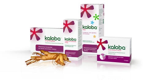 Kaloba Top Thema