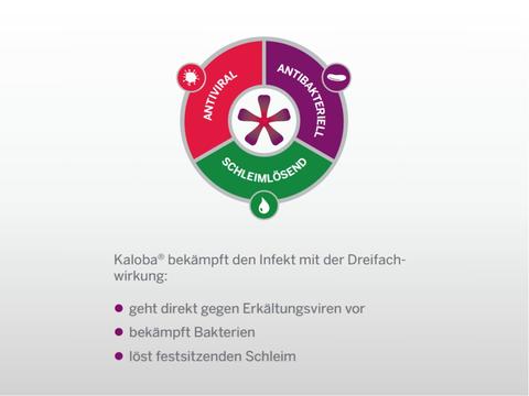 Kaloba® Wirkung: antiviral, antibakteriell und schleimlösend - © Schwabe