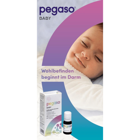 Ratgeber Baby Verdauung Pegaso Baby