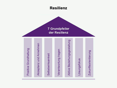 Resilienz: 7 Grundpfeiler - © Schwabe Austria