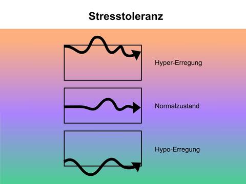 Das Stresstoleranz-Fenster - © Canva