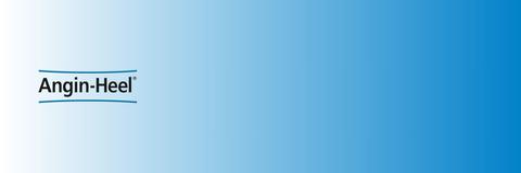 Angin Heel Banner