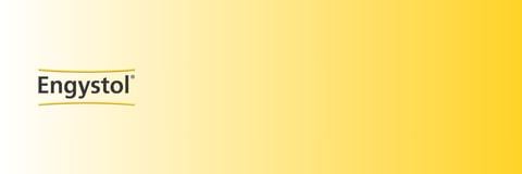 Engystol Banner