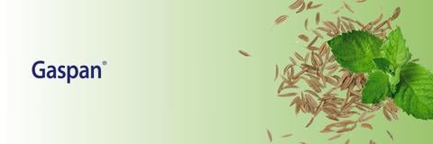 Gaspan Banner