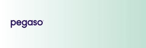 pegaso Banner