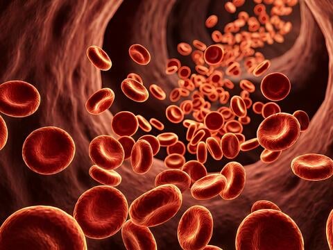Blut – unsere wichtigste Körperflüssigkeit - © Canva