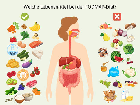 FODMAP Diät - © Canva