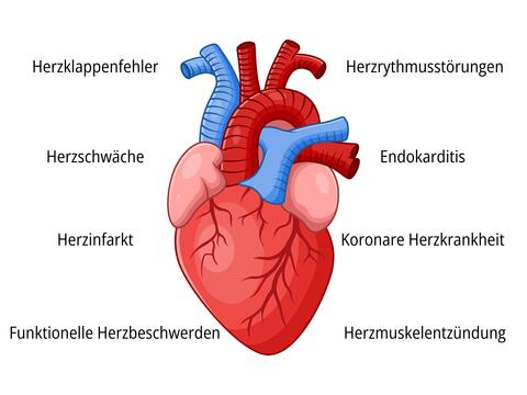 Es gibt viele Herzkrankheiten - © Canva