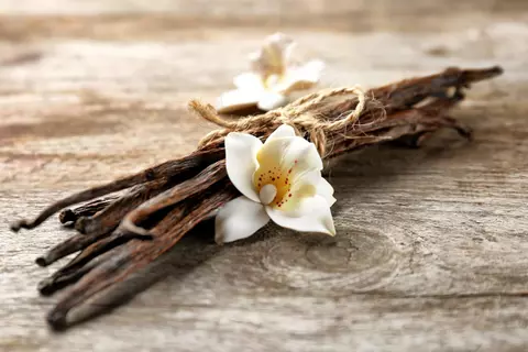 Vanille Phytoblog - © Canva