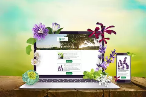 Newsletter Pflanzlich Anmeldung - © Canva