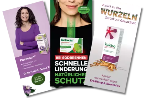 Ratgeber Vorschau - © Schwabe