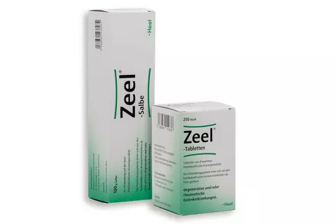 Zeel Salbe Tabletten