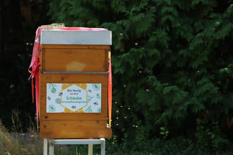 Einer der Bienenstöcke im Arzneipflanzengarten - © Schwabe Austria