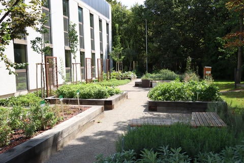 Arzneipflanzengarten bei Schwabe Austria - © Schwabe Austria