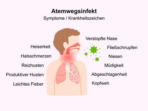 Atemwegsinfekt Anzeichen Symptome - © Canva
