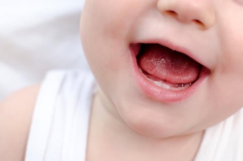 Babys erster Zahn: So sind Sie als Eltern richtig darauf vorbereitet - © Olga Kravchenko/stock.adobe.com