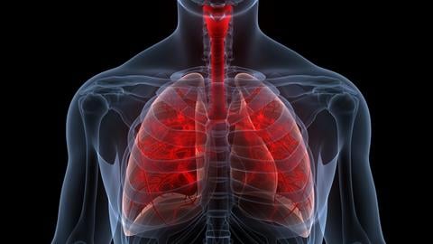 Bronchitis: Ursachen, Symptome und Behandlungsmöglichkeiten – © magicmine/stock.adobe.com