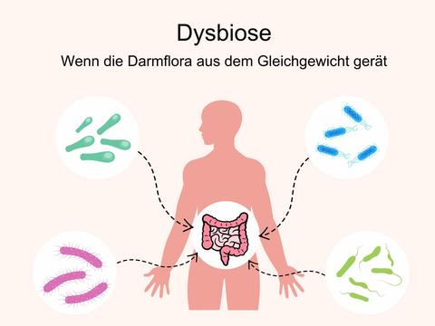 Dysbiose: Bakterien im Ungleichgewicht - © Canva