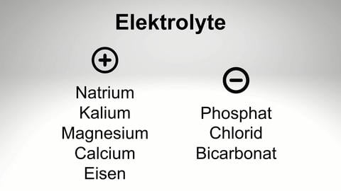 Positiv vs. negativ geladene Elektrolyte – © Canva