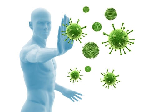 Immunsystem: Schutz vor schädlichen Krankheitserregern – ©ag visuell/stock.adobe.com