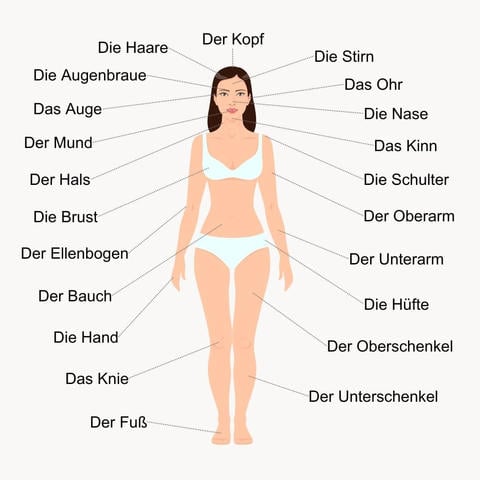 Sichtbare Bestandteile unseres Körpers - © Canva