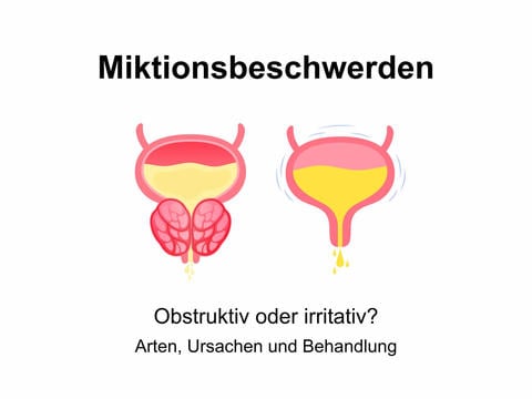 Probleme beim Wasserlassen – © Canva