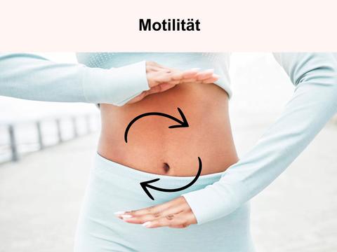 Motilität, Darmbewegung – © Canva