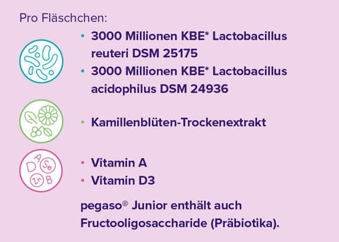 Die Inhaltsstoffe von pegaso® Junior - © Schwabe