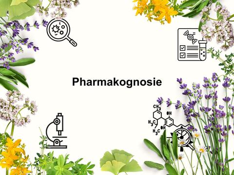 Pharmakognosie: Was ist das genau? – © Canva