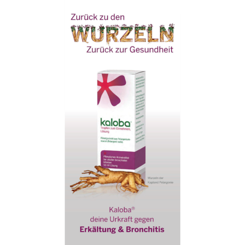 Ratgeber Erkältung Kaloba