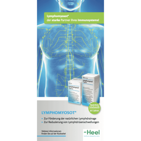 Ratgeber Immunsystem Lymphomyosot