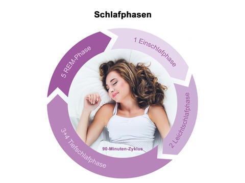 Schlafphasen: ein Schlafzyklus dauert 90 Minuten - © Schwabe, shefkate/stock.adobe.com