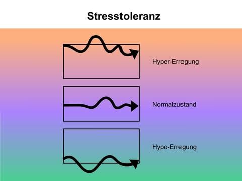 Das Stresstoleranz-Fenster - © Canva