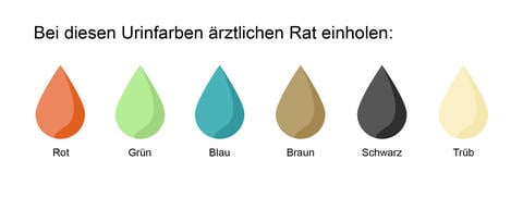 Diese Urinfarben (beispielhafte Darstellung) verlangen ärztlichen Rat. - © Schwabe Austria