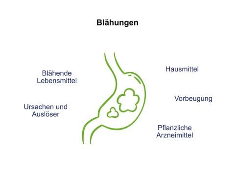 Blähungen (Flatulenzen) - © Canva