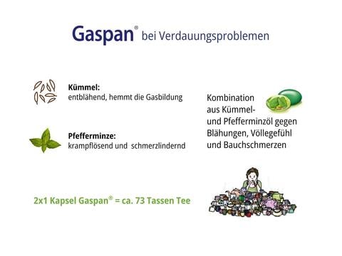 Die Wirkung von Gaspan - © Schwabe