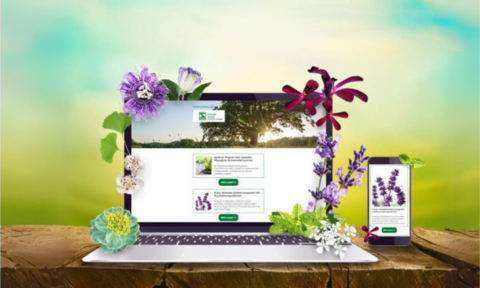 Newsletter Pflanzlich Anmeldung - © Canva