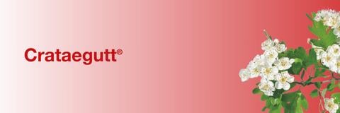 Crataegutt Banner