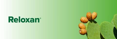 Reloxan Banner